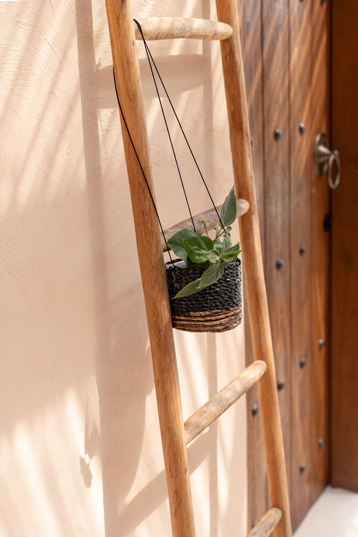 The Banana Plant Hanger - Natural Black - S - Image 2