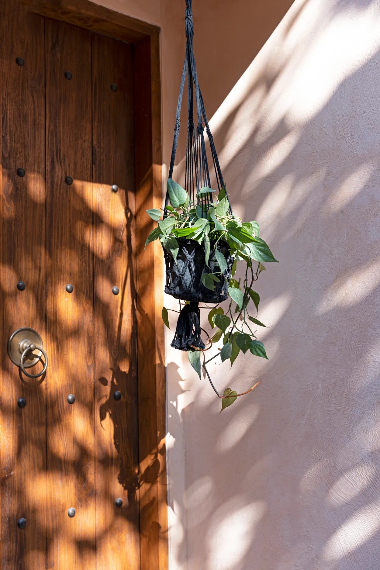 The Macrame Plant Holder - Black - L - Image 2