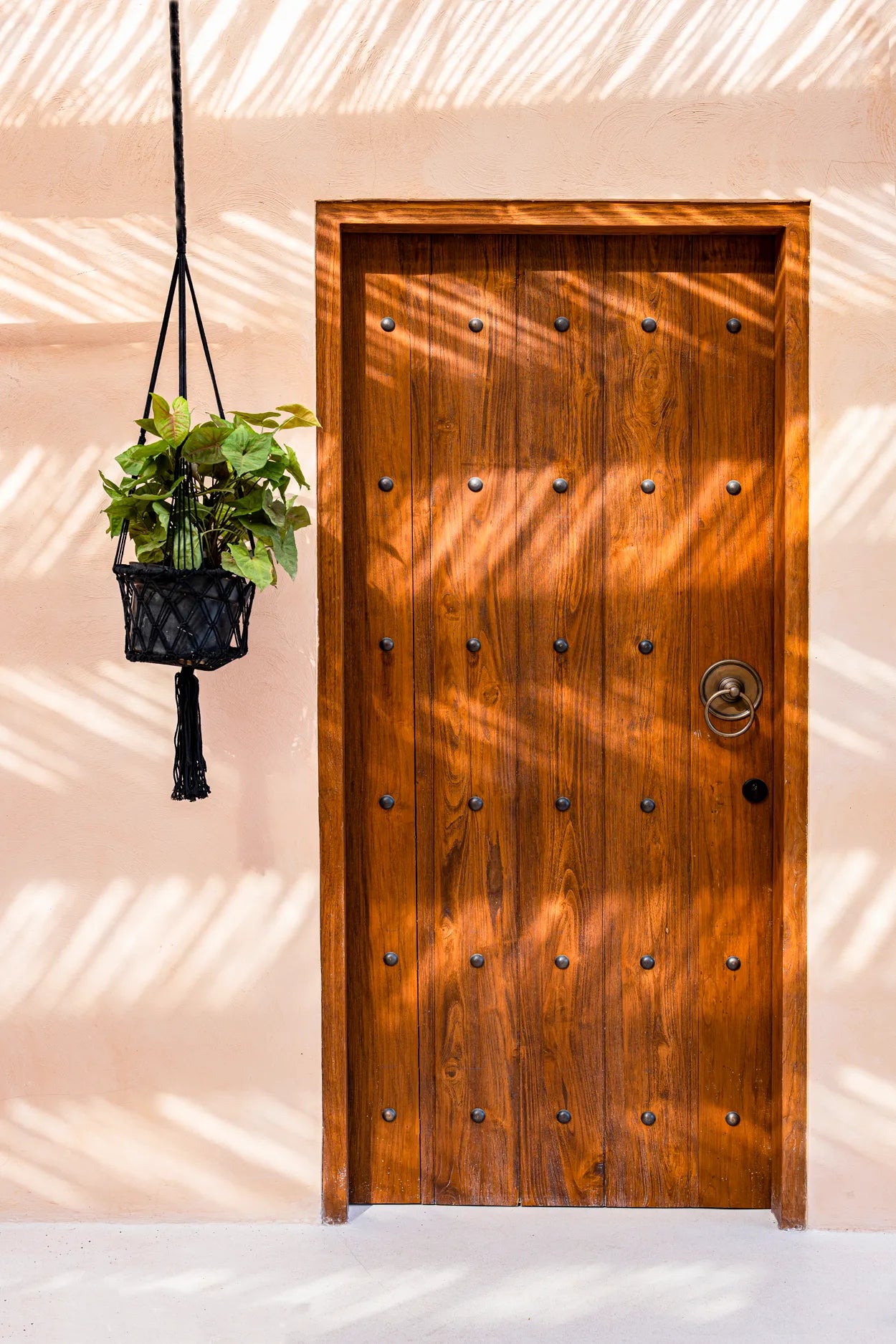 The Macrame Plant Holder - Black - M - Image 2