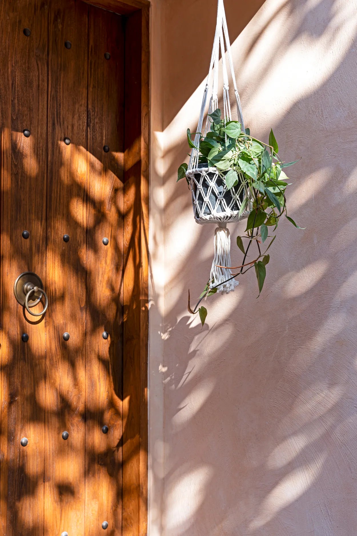 The Macrame Plant Holder - White - M - Image 2