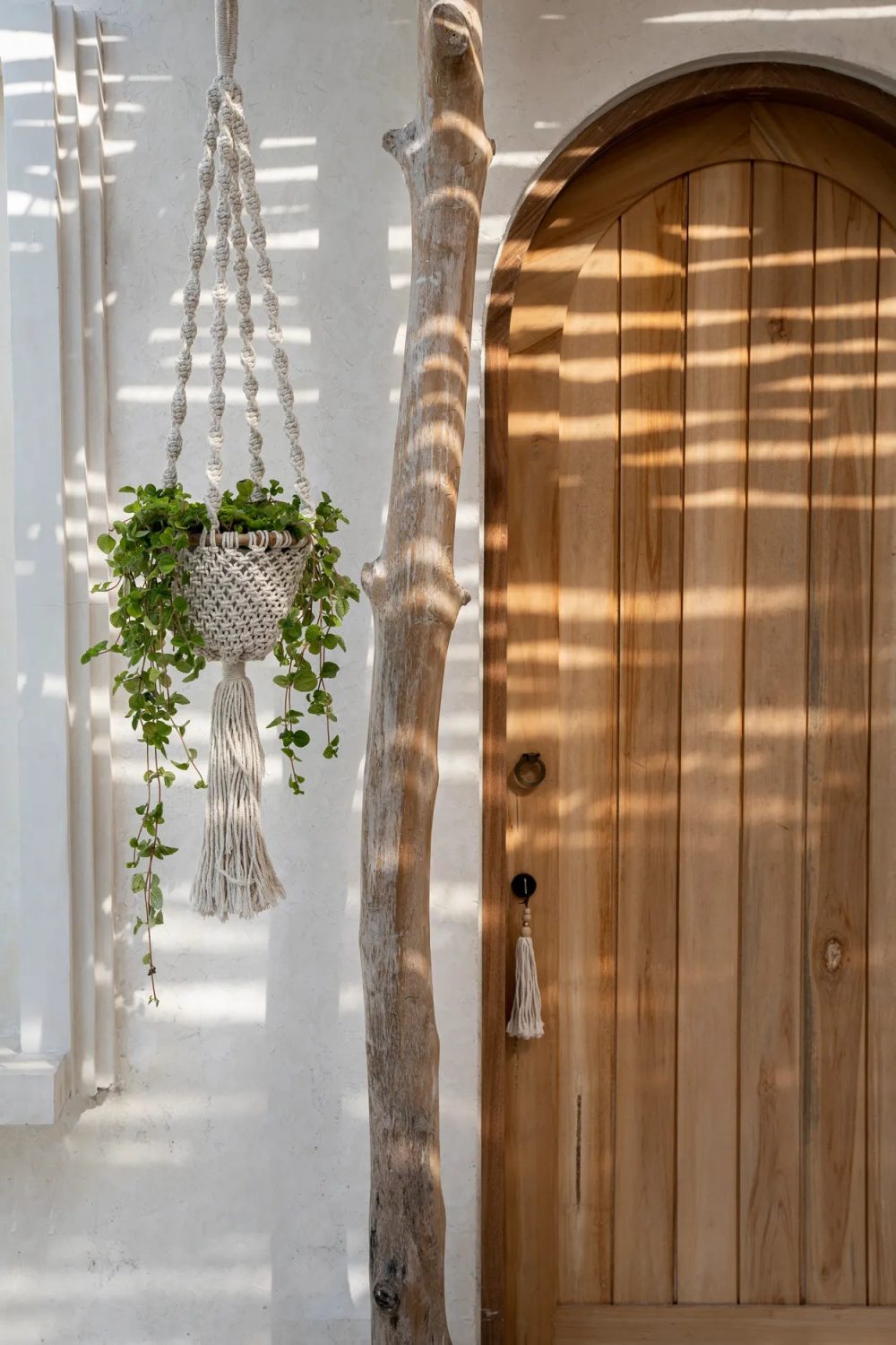 The Twisted Macramé Plant Holder - Natural White -S - Image 2