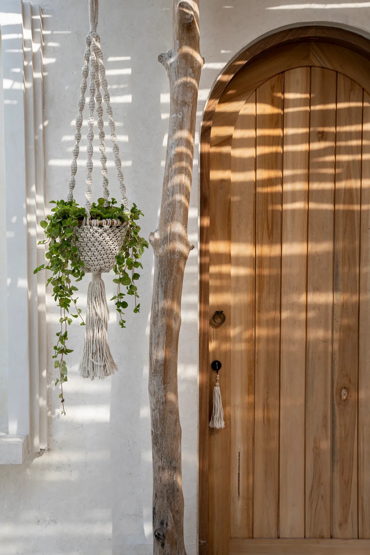 The Twisted Macramé Plant Holder - Natural White -S - Image 2