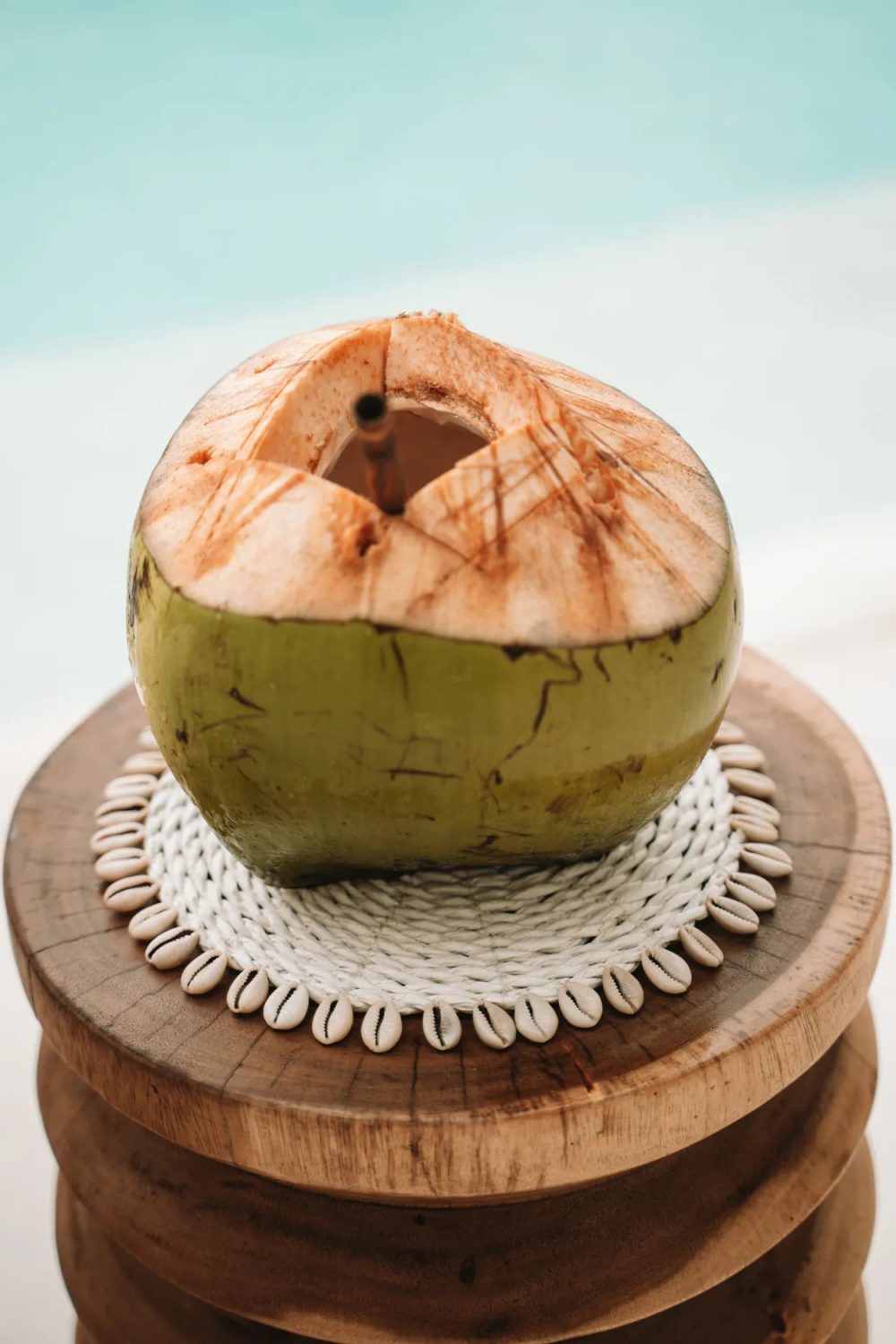 The Seagrass Shell Pan Coaster - White - Image 2