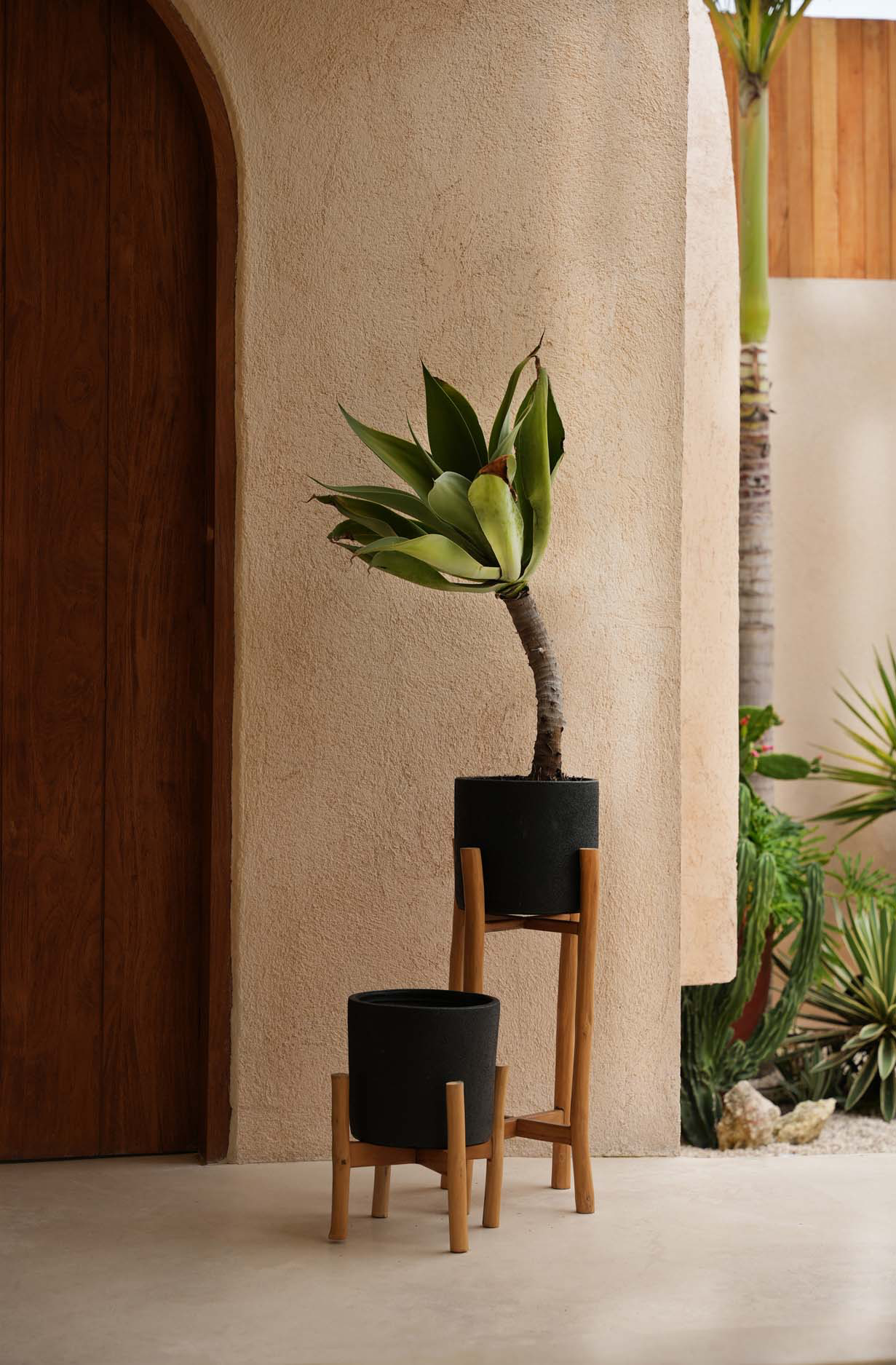 The Charcoal High - Black Natural - L - Image 2