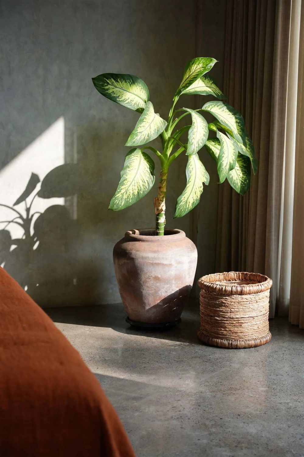 The Chuka Basket - Image 2