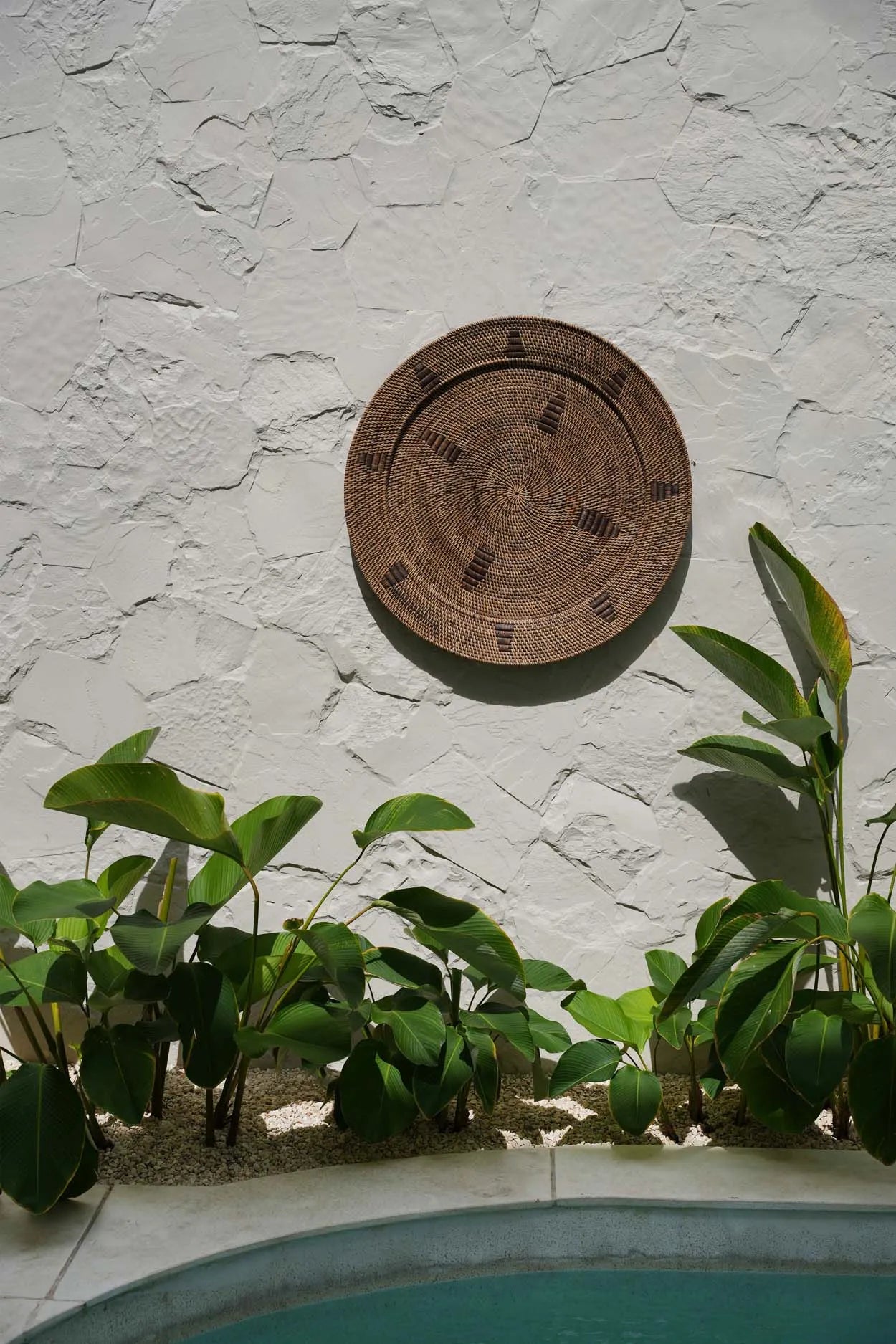The Jasmine Plate - Brown - L - Image 2