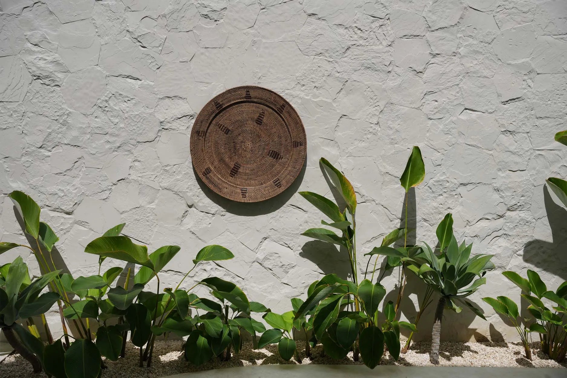 The Jasmine Plate - Brown - XL - Image 2