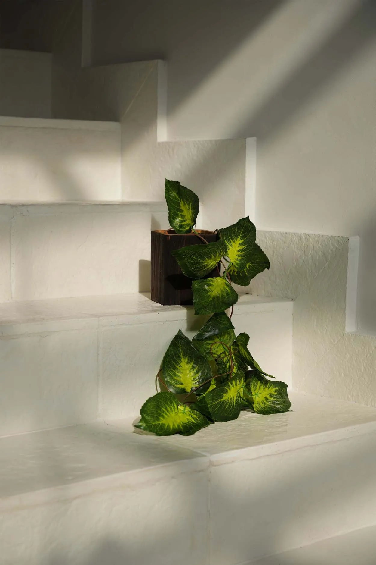 The Bondi Vase - Square - Image 2