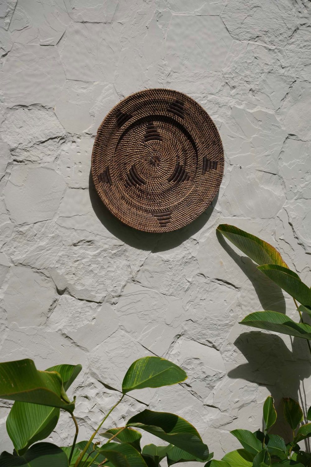 The Jasmine Plate - Brown - M - Image 2