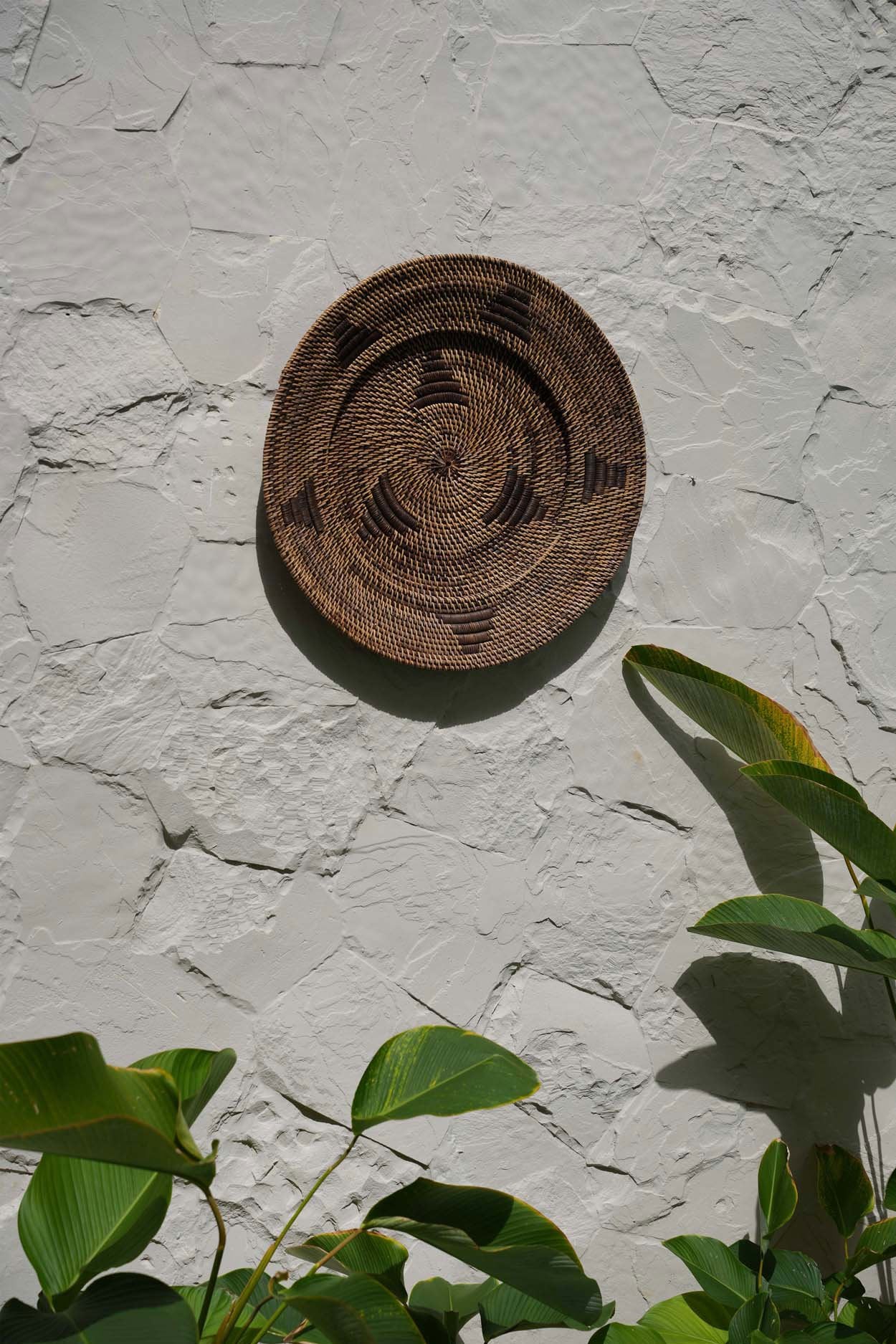The Jasmine Plate - Brown - M - Image 2