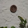 The Jasmine Plate - Brown - S