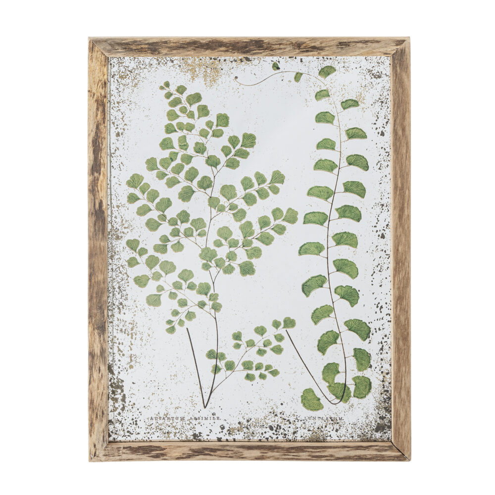 Tipper Illustration w/ Frame, Nature, Firwood