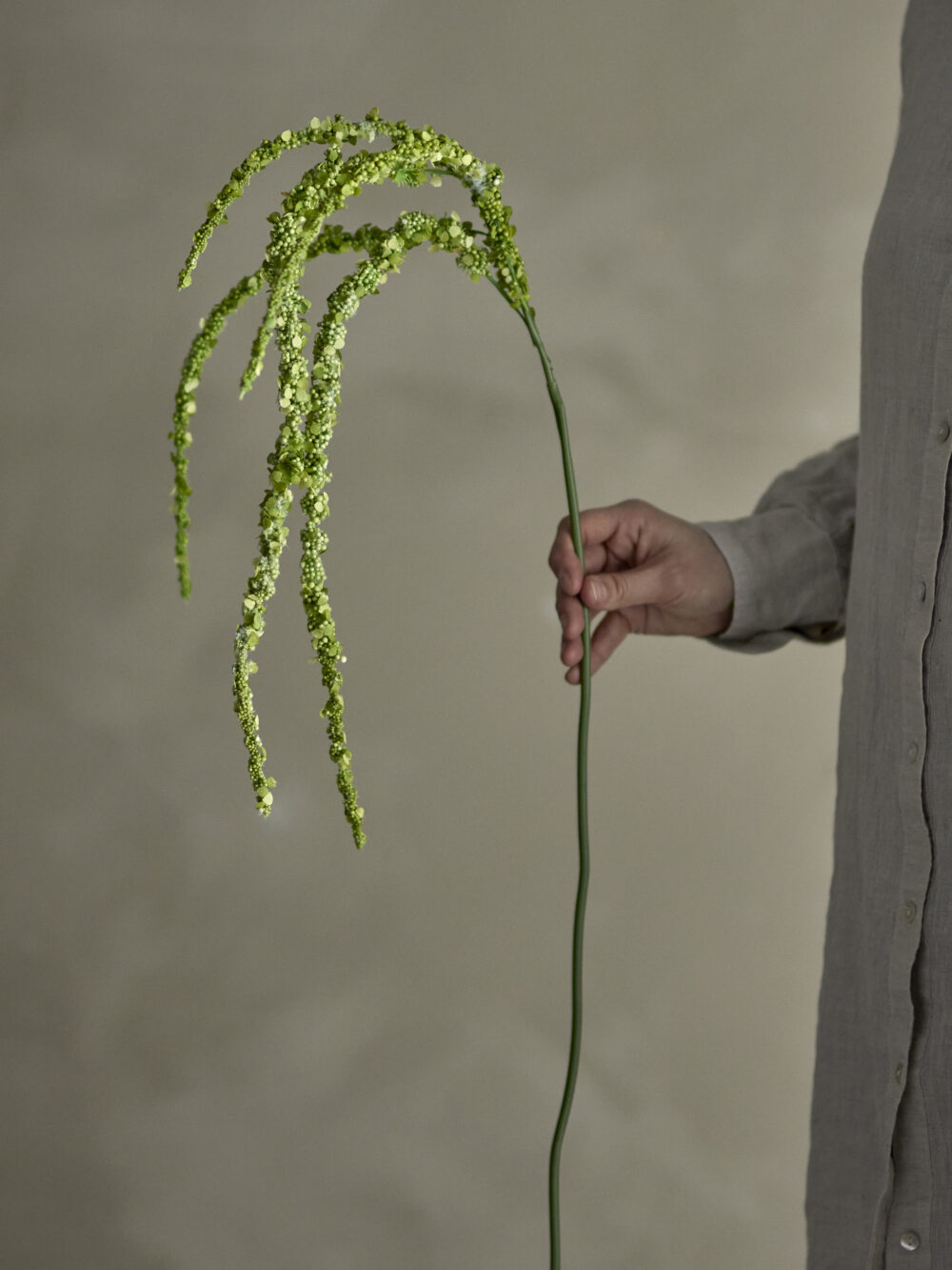 Foxtail Stem, Green, Artificial Flowers - Image 3