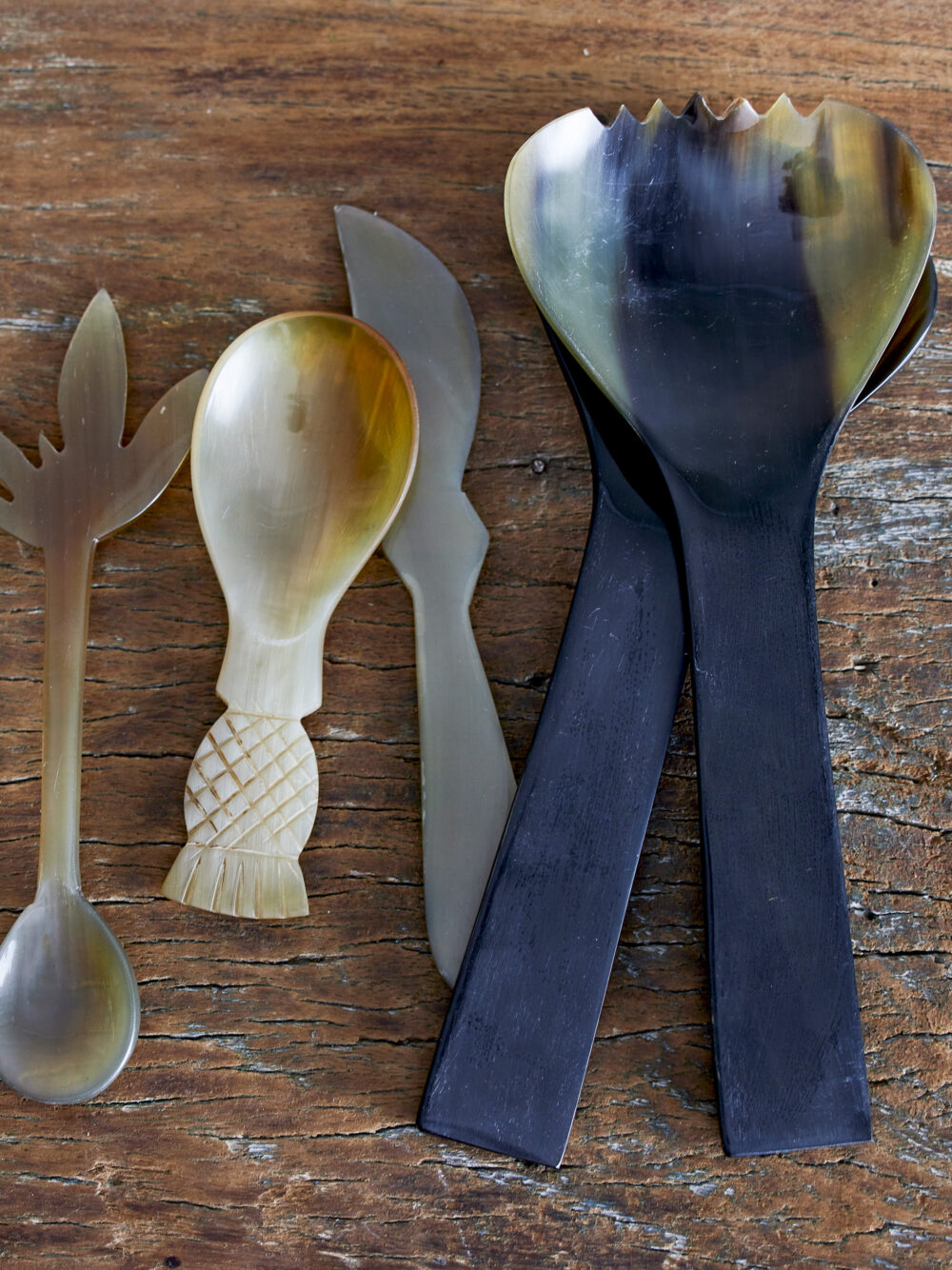 Ayanna Spoon, Nature, Horn - Image 3