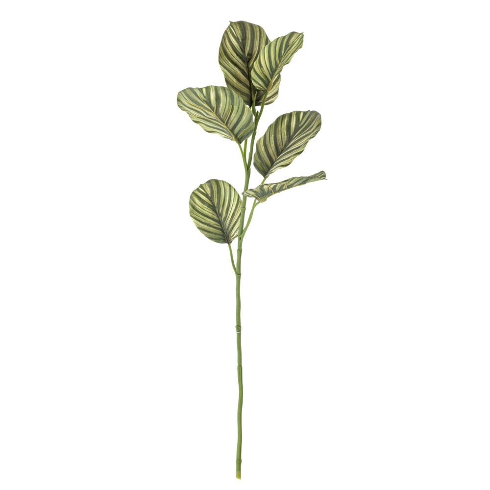 Zebra Stem, Green, Artificial Flowers