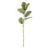 Zebra Stem, Green, Artificial Flowers