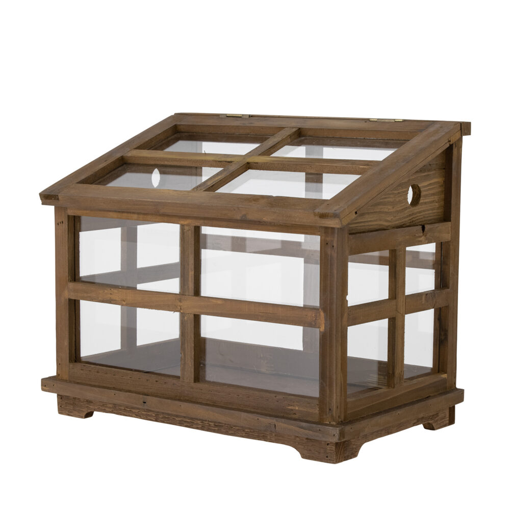 Marti Display box, Brown, Firwood