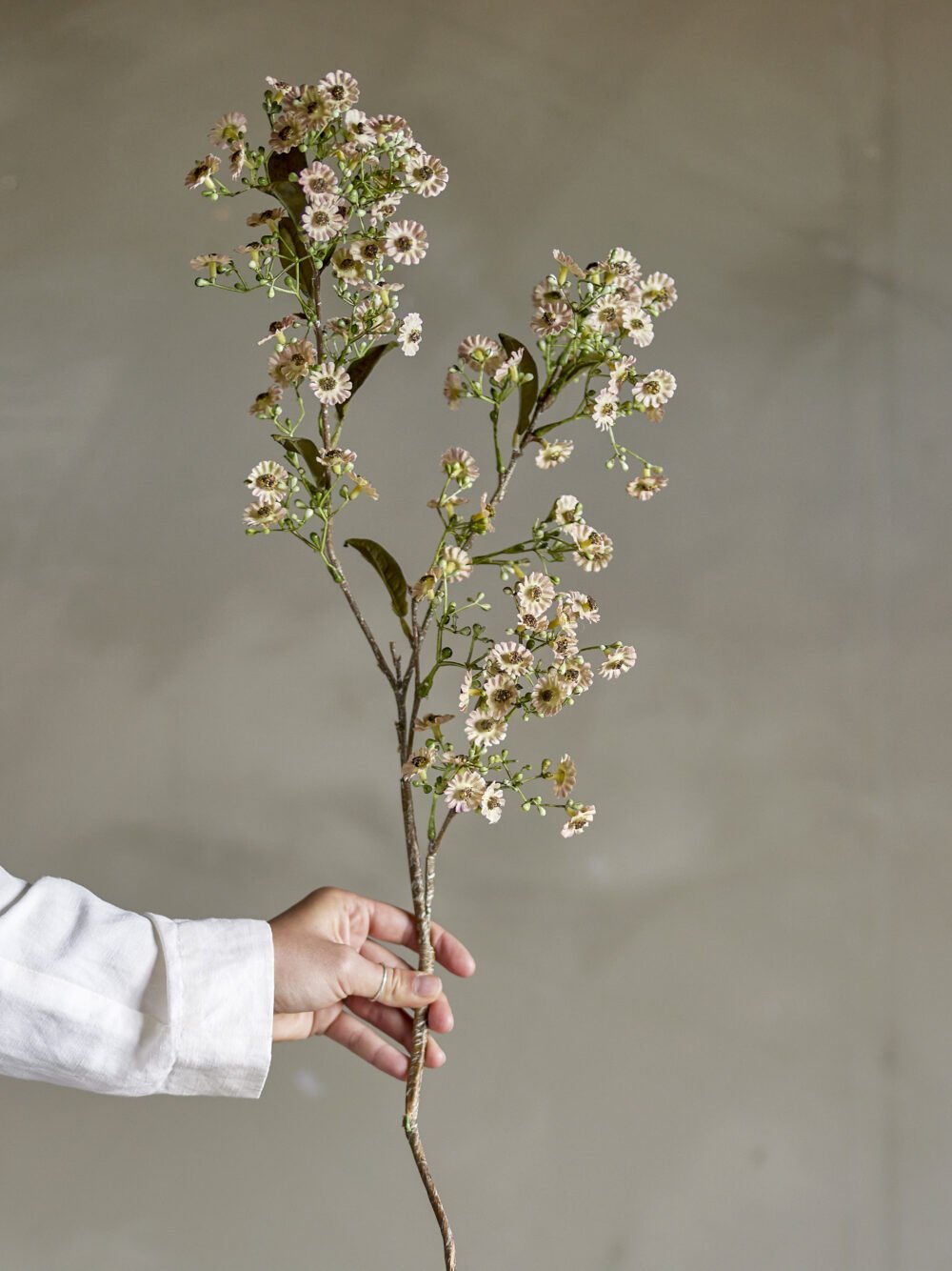 Waxflower Stem, White, Artificial Flowers - Image 2