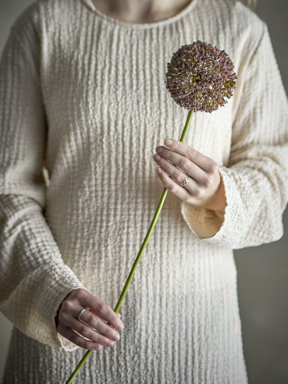 Allium Stem, Brown, Artificial Flowers - Image 2