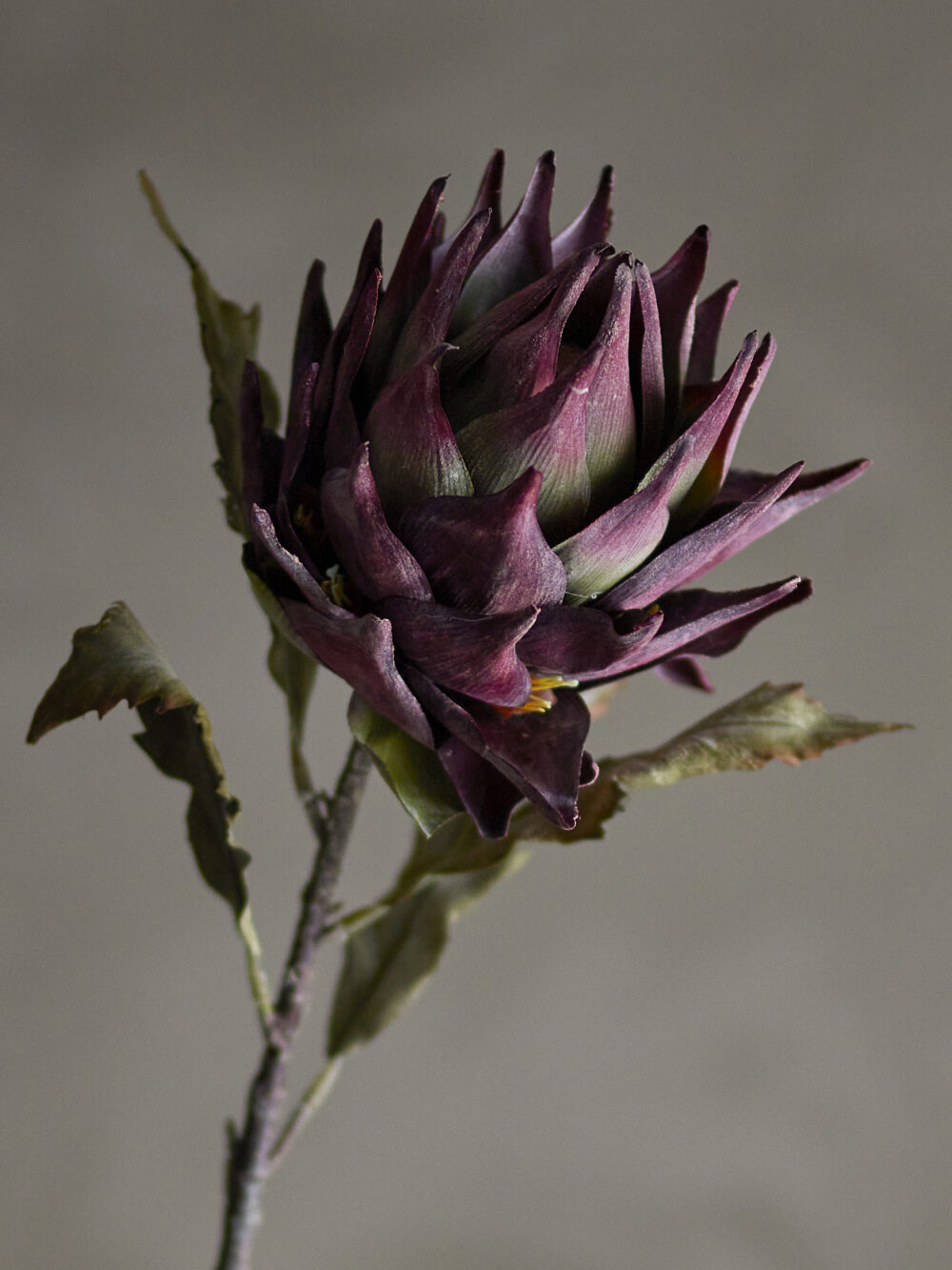 Protea Stem, Purple, Artificial Flowers - Image 3