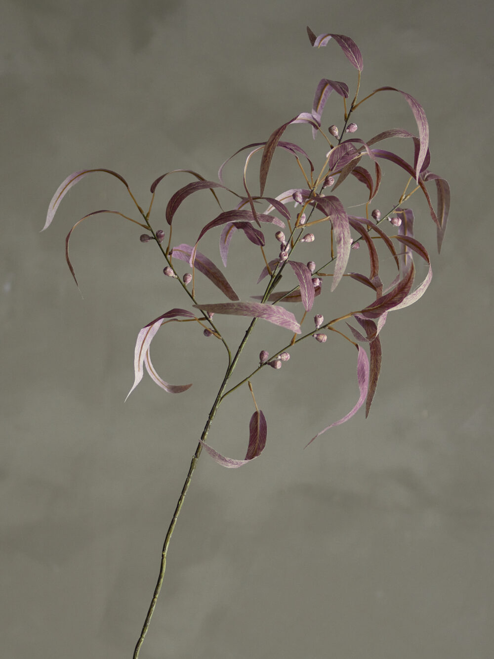Eucalyptus Stem, Red, Artificial Flowers - Image 3
