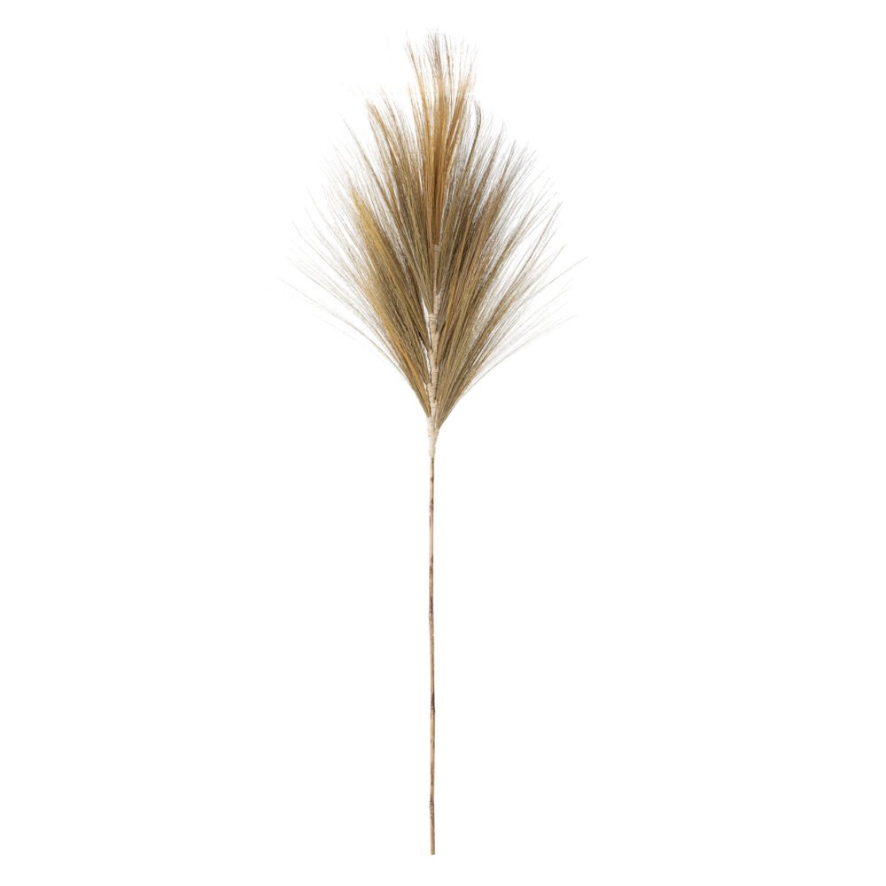 Maluca Branch, Nature, Cane