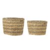 Indra Basket, Nature, Water Hyacinth