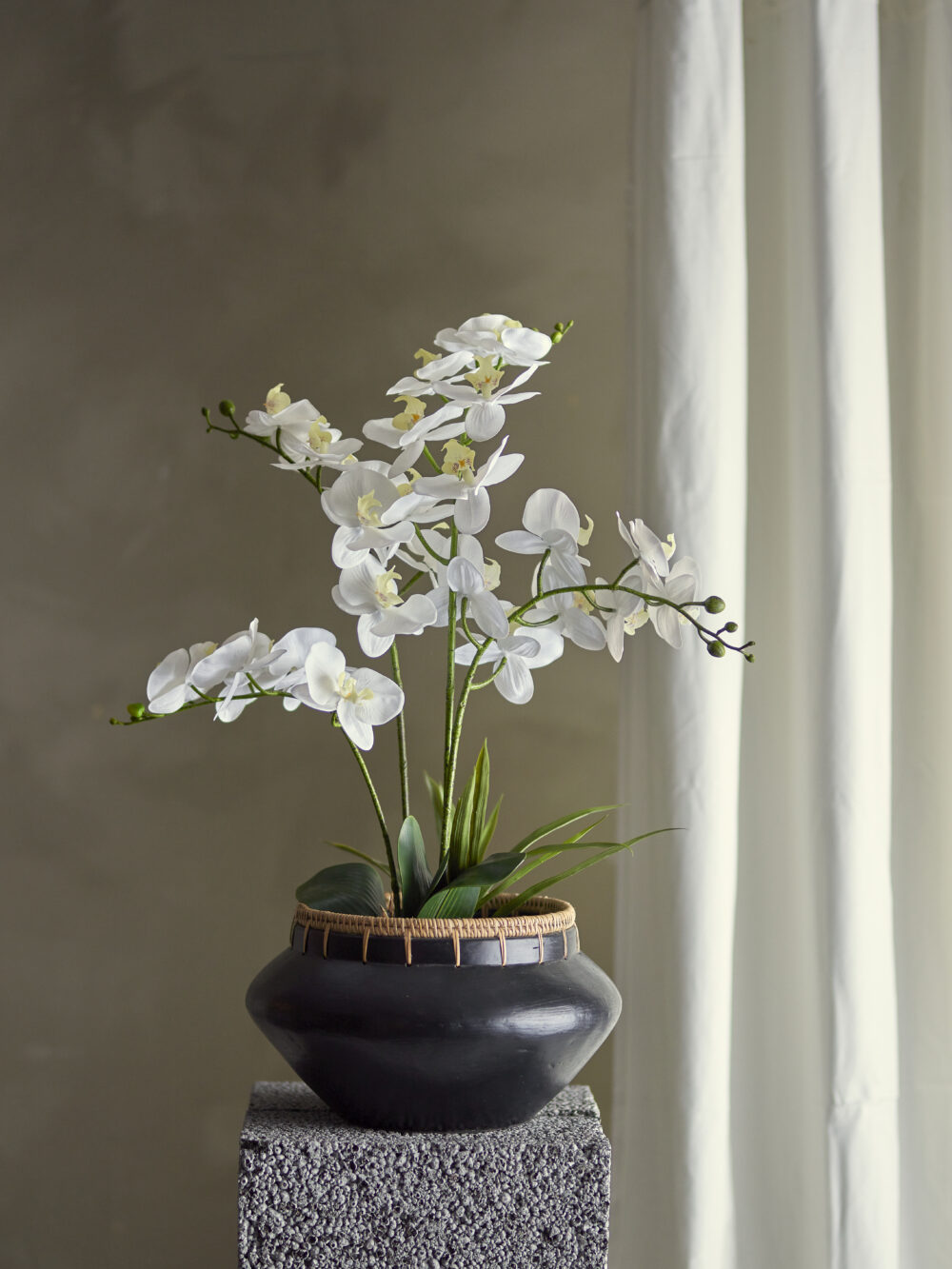 Orchid Plant, Green, Artificial Flowers - Image 3