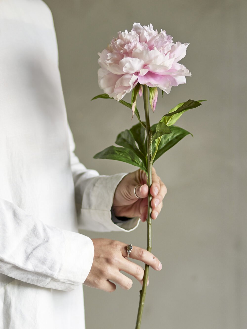 Peony Stem, Rose, Artificial Flowers - Image 3