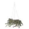 Cedar Wreath, Green, Artificial Flowers