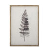 Corval Illustration w/ Frame, Nature, Firwood