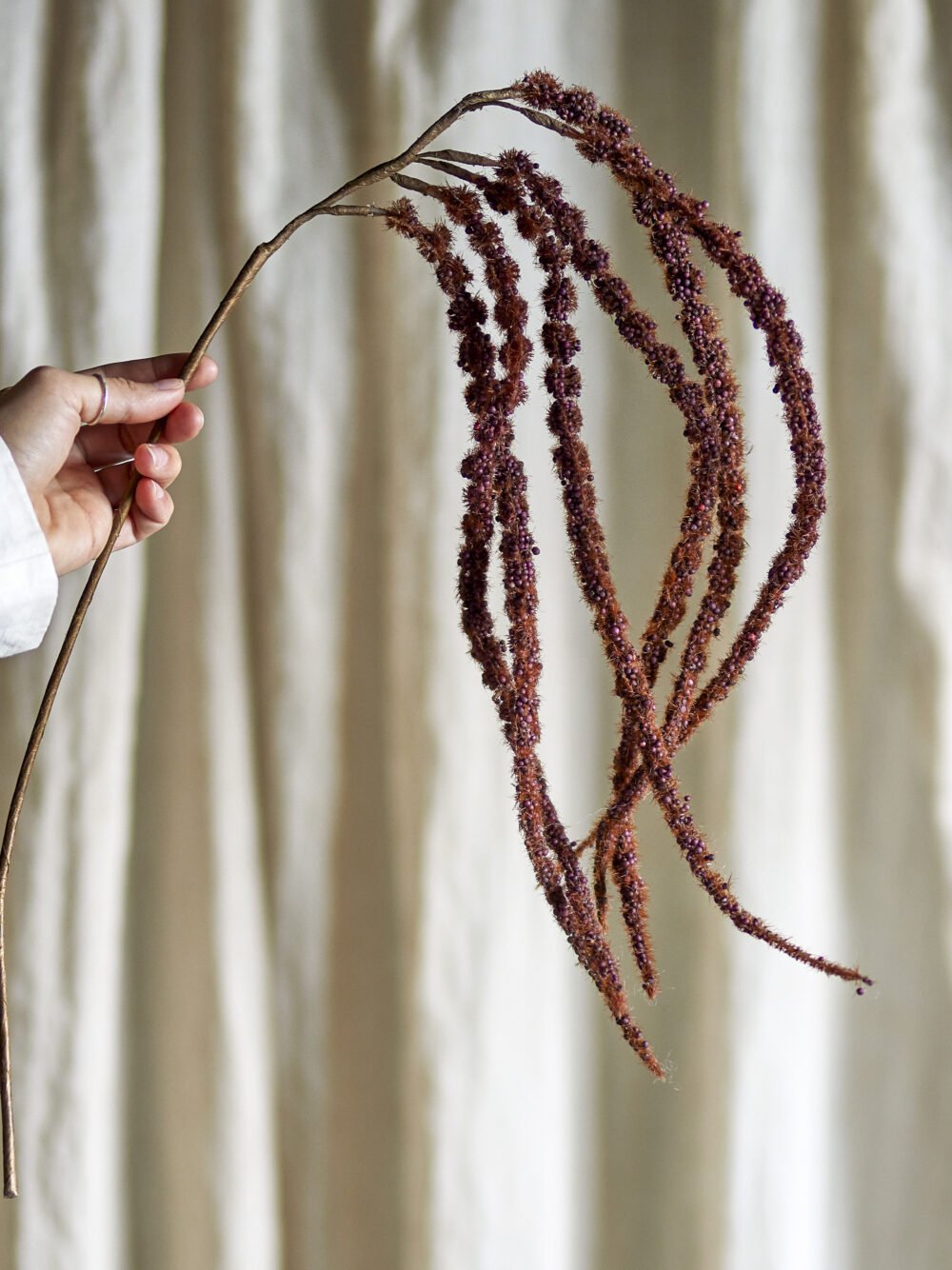 Foxtail Stem, Brown, Artificial Flowers - Image 3