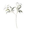 Eucalyptus Stem, Green, Artificial Flowers