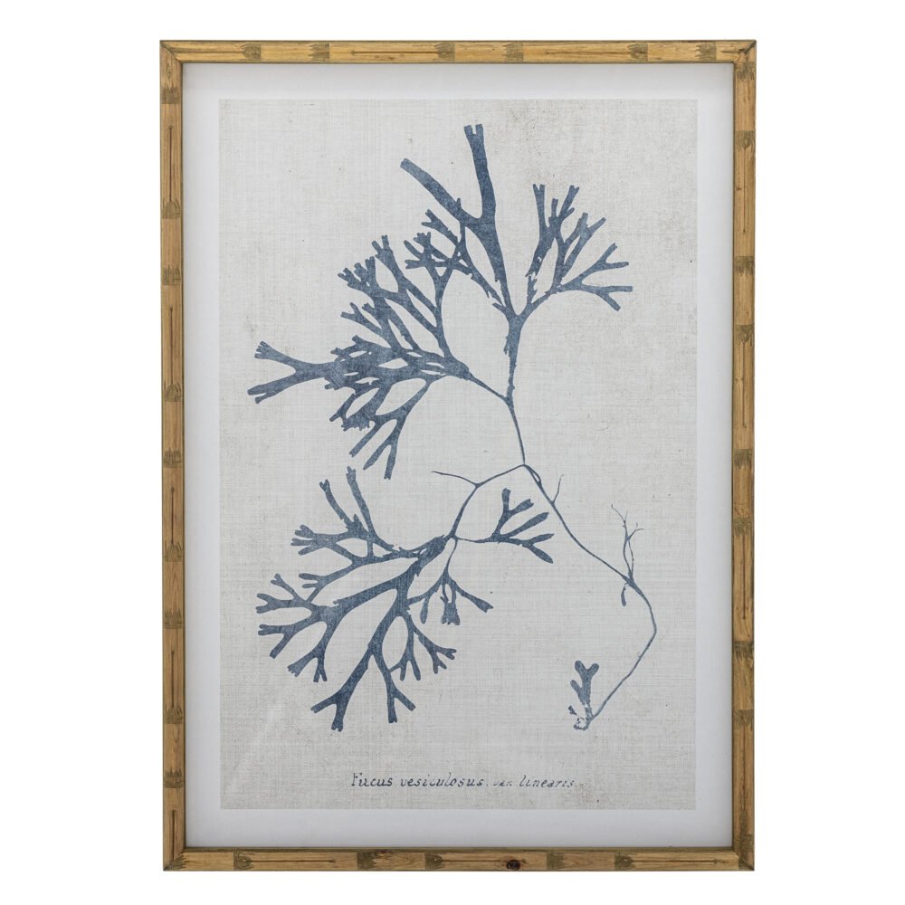 Sumner Illustration w/ Frame, Nature, Firwood