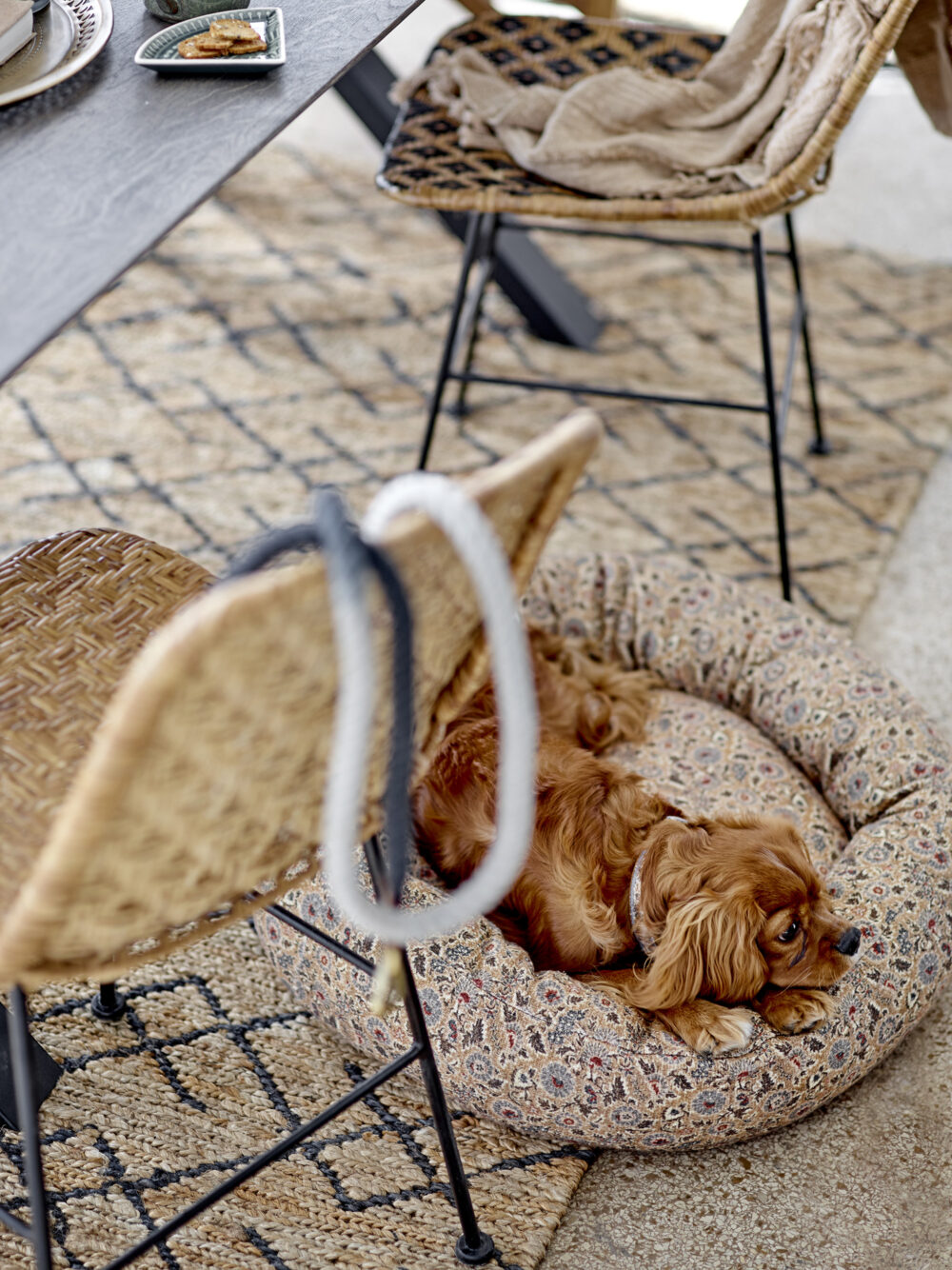 Vittoria Dog Basket, Brown, Cotton - Image 3