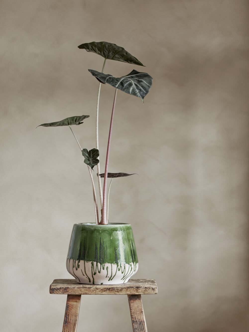Moez Flowerpot, Green, Stoneware - Image 2