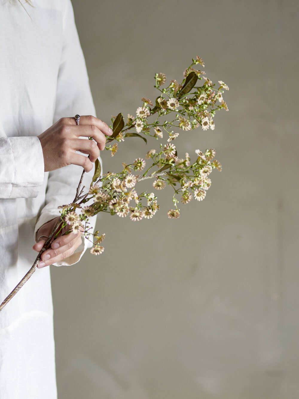 Waxflower Stem, White, Artificial Flowers - Image 3