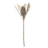 Palmflower Stem, Brown, Artificial Flowers