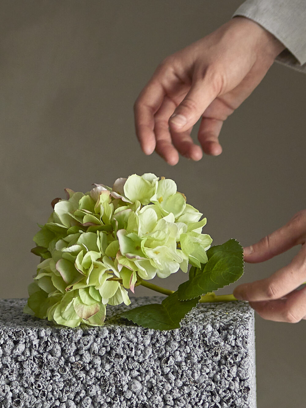 Hydrangea Stem, White, Artificial Flowers - Image 2