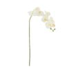 Orchid Stem, White, Artificial Flowers