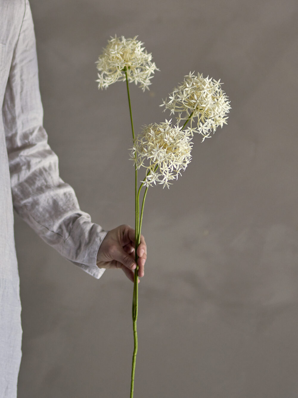 Allium Stem, White, Artificial Flowers - Image 3