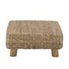 Mojo Stool, Nature, Water Hyacinth