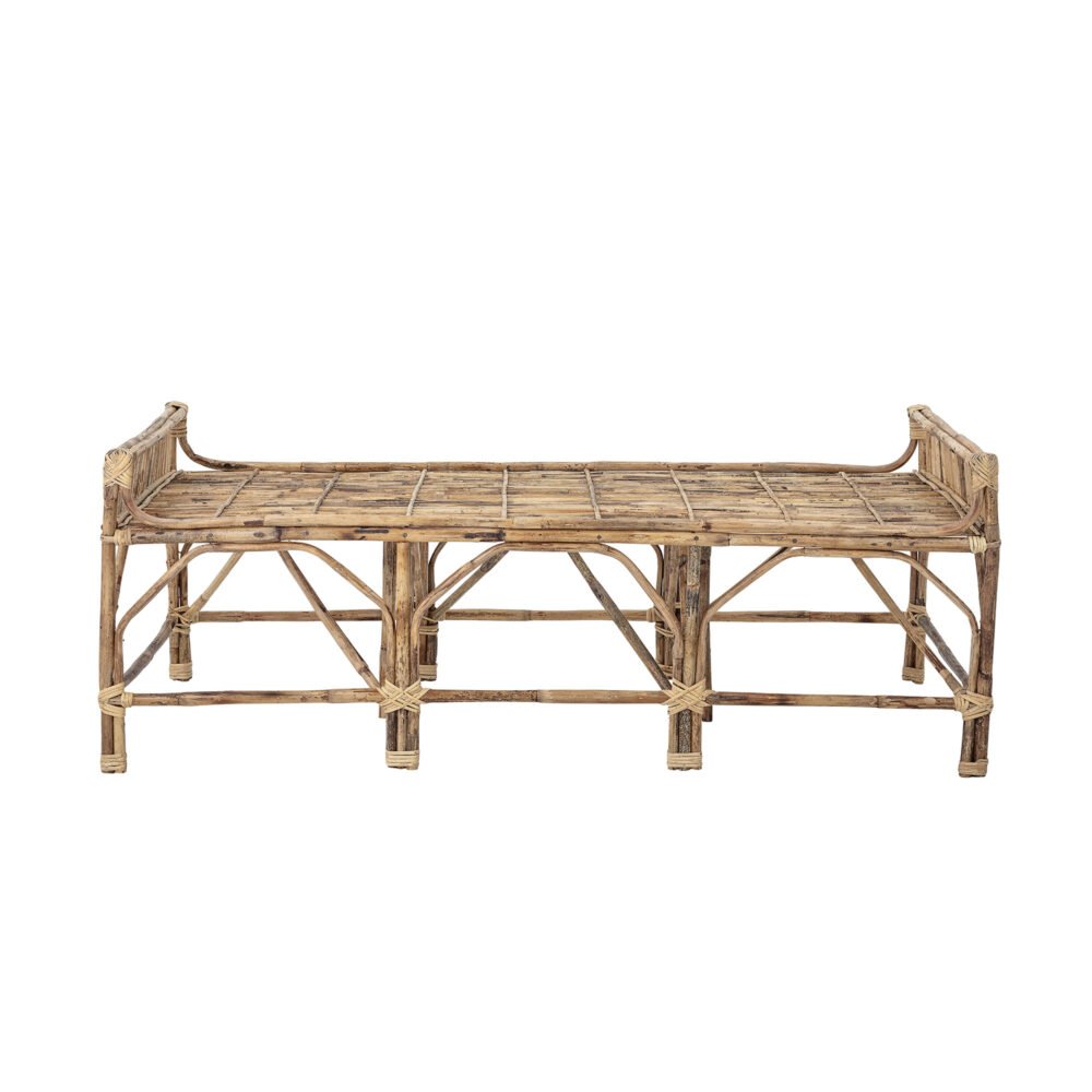 Pammi Bench, Nature, Cane