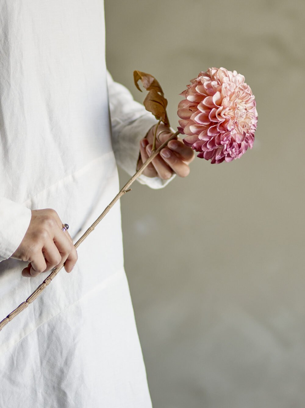 Chrysantemum Stem, Rose, Artificial Flowers - Image 2