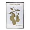Poire Illustration w/ Frame, Black, Pine