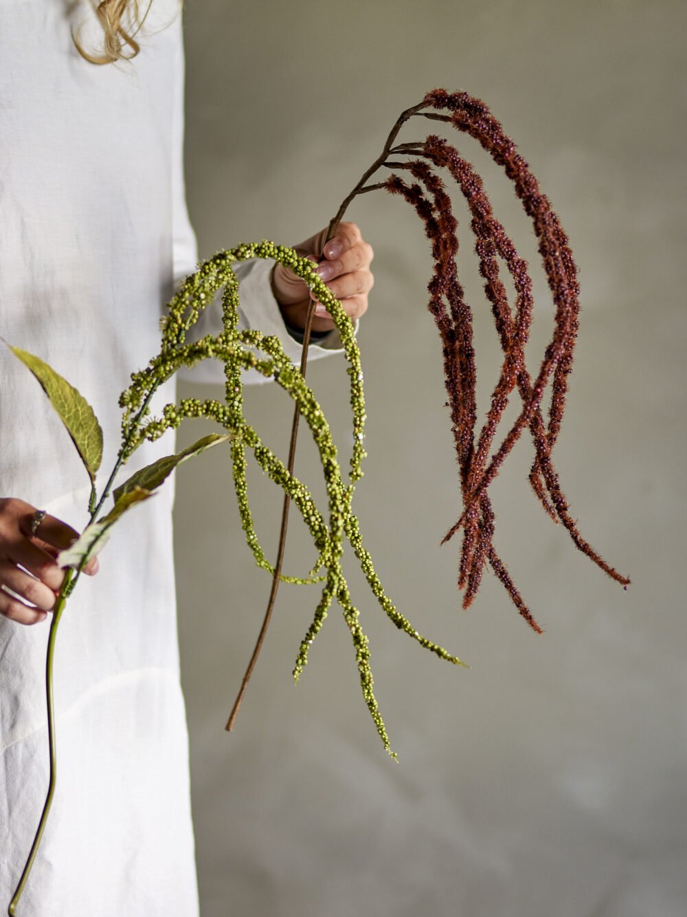 Foxtail Stem, Brown, Artificial Flowers - Image 2