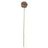 Allium Stem, Brown, Artificial Flowers